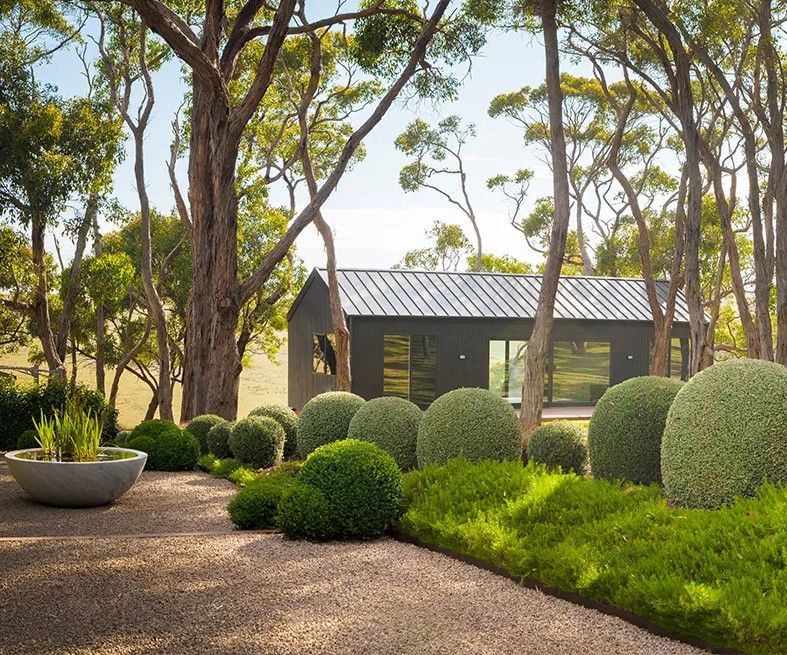 Barossa valley landscaper bush garden well trimmed hedge