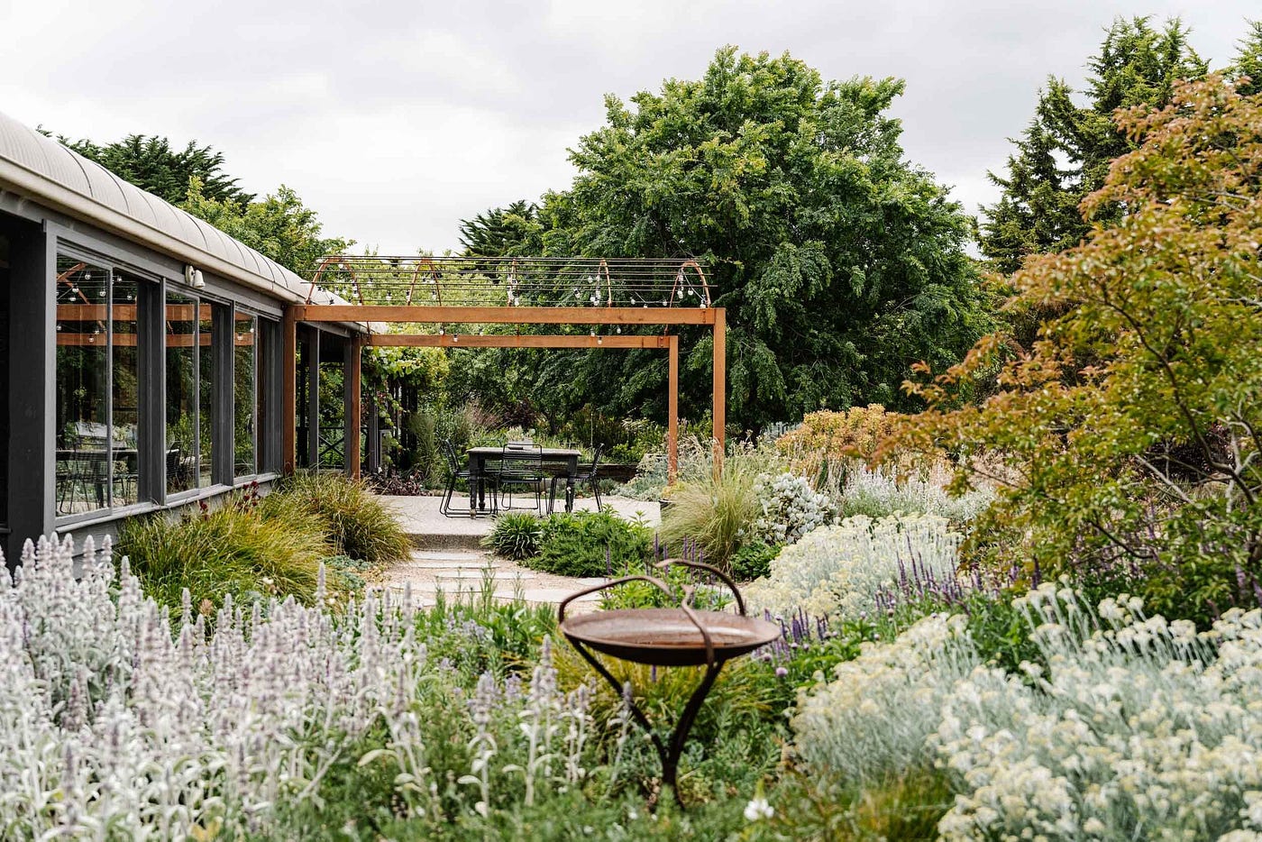 Barossa valley landscaper bush garden wild