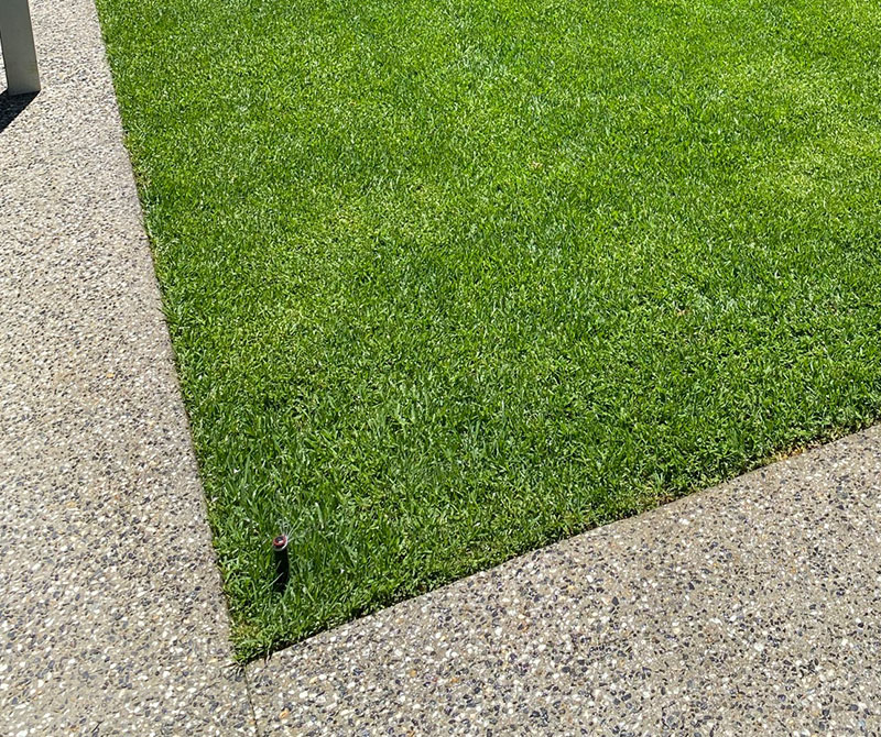 irrigation-northern-adelaide-garden-landscaping-lawns